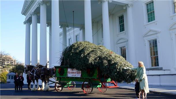 Die First Lady Jill Biden nimmt gemeinsam mit ihrem Enkel Beau Biden den 5,60 Meter hohen Weihnachtsbaum für das Weiße Haus in Washington in Empfang.