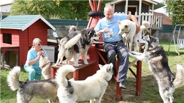  Eberhard Krappmann hat 15 Huskys, die als Therapiehunde zum Einsatz kommen.