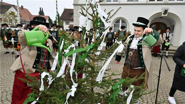  Im oberschwäbischen Kißlegg stand das Gießen des kleinen Narrenbaums an.