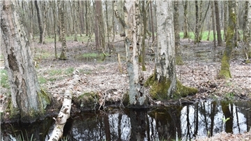 Brinke‘s sagenhafte Route