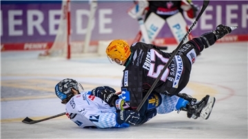 16 Tage nach dem Ammoniak-Leck sind die Fischtown Pinguins um Alex Friesen zurück in ihrem „Wohnzimmer“ und lieferten sich einen heißen Tanz mit Spitzenreiter Ingolstadt.