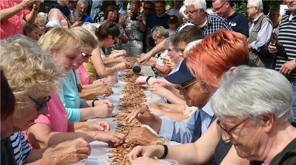 Mehrere Menschen beim Krabbenpulen