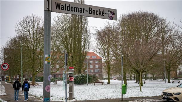26 von Bakterien befallene Rosskastanien auf dem Waldemar-Becké-Platz werden ab Montag, 15. Januar, gefällt. Dafür werden bis Ende Februar Dank des Reset-Projekts 52 Klima-robuste Zerr-Eichen hier gepflanzt.