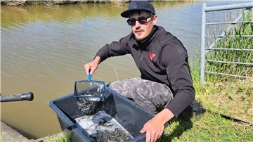 79,4 Kilogramm wurden durch den Butjadinger Fischereiverein in die Fließgewässer verteilt. Das Projekt soll zur Arterhaltung beitragen.