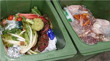 Ab dem kommenden Jahr ist die Bio-Tonne im Cuxland Pflicht. Ausnahmen gibt es nur, wenn man selbst im Garten vernünftig kompostieren kann.