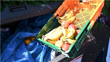 Ab in die Tonne: Dem UN-Bericht zufolge verschwendete jede Person im Jahr 2022 im Schnitt 79 Kilogramm Lebensmittel.