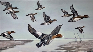 Abflug: Fliegende Pfeifenten sorgen in einer eher tristen Landschaft für Farbe. Julia Pasinski hat das Bild gemalt.