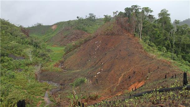 Abgeholzter Wald in Madagaskar