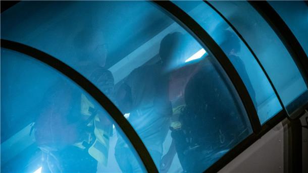 Abschiebungen: Unions-Politiker dämpfen Erwartungen Abschiebung: Polizeibeamte begleiten einen Afghanen auf dem Flughafen Leipzig-Halle in ein Charterflugzeug.