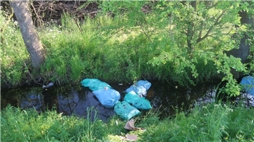 Acht Abfallsäcke haben Unbekannte in einen Graben geworfen. 