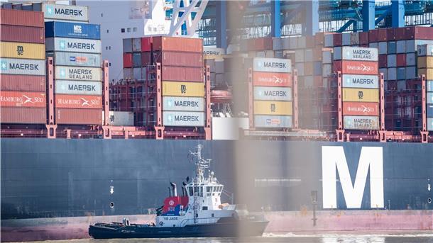 Spediteure sind unzufrieden mit den Reedern Acht von zehn Containern würden derzeit nicht pünktlich abgefahren, kritisieren die Spediteure im Land Bremen.