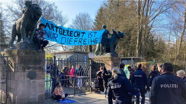 Aktivisten blockieren Eingang des Nürnberger Tiergartens Aktivisten demonstrieren am Nürnberger Zoo gegen die geplante Tötung von Pavianen.