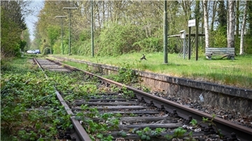 zugewucherte Bahnstrecke am Bahnhalt Langen