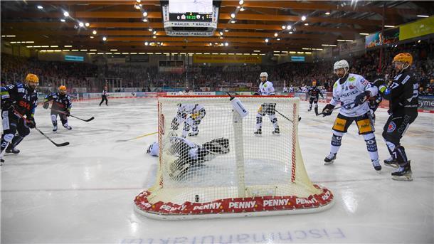 Alex Friesen traf zum 1:1 für die Fischtown Pinguins.
