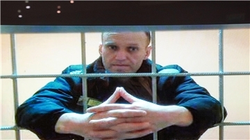 Alexej Nawalny wird meist per Videoverbindung aus seiner Gefängniskolonie zu Anhörungen zugeschaltet.