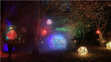 Lichtinstallationen in verschiedenen Farben erleuchten einen dunklen Park. 