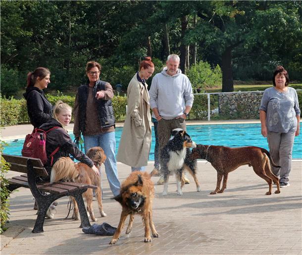 Wenn die Badesaison für Menschen endet, dann sind die Vierbeiner dran Hunde schütteln sich trocken