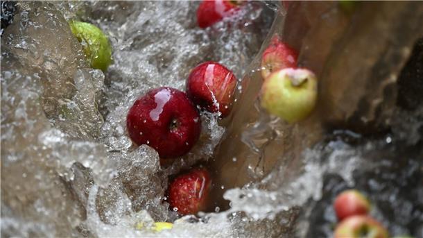 Am besten nur waschen und dann mit Schale essen. Aus diesen Äpfeln wird allerdings Saft gemacht.