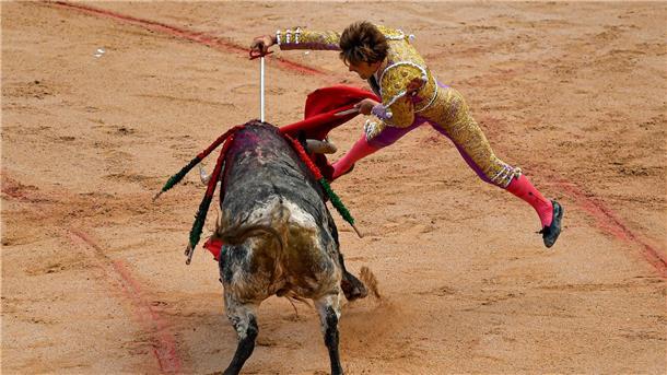 Dutzende Verletzte bei Stierhatzen in Spanien Am Ende des Stierkampfes kommt der Todesstoß mit dem Degen.