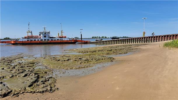 Campingplatz Sandstedt wird runderneuert: Betreiber investiert eine Million Euro Am Fähranleger soll ein Hundestrand eingerichtet werden.