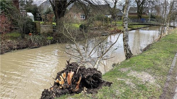 Am Fleth in der Sandstedter Mühlenstraße wurden im Februar 2022 zwei Birken umgeweht. Das sorgt für heute für Probleme.
