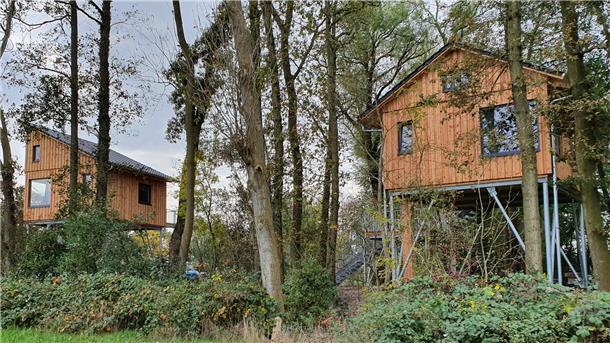 Zwischen Bäumen und Vogelzwitschern Holzhaus im Wald.
