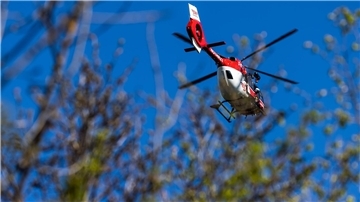 Mopedfahrer-Unfall am Deich: Bleibt Unfallursache unklar? Ein Hubschrauber fliegt weg, davor sind Pflanzenteile zu sehen.