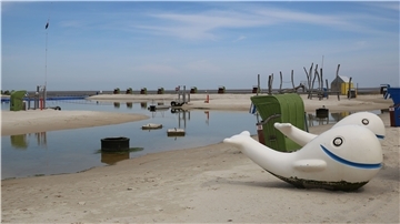 Am vermutlich heißesten Wochenende des Jahres bleibt die Nordsee-Lagune leer. Coli-Bakterien, mit denen das Wasser in einem der Becken der Aufbereitungsanlage belastet ist, vereiteln den Badespaß.