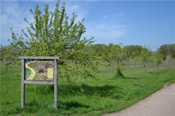 Am Wasserwerk in Zeven führen Wege zur Artenvielfalt. 