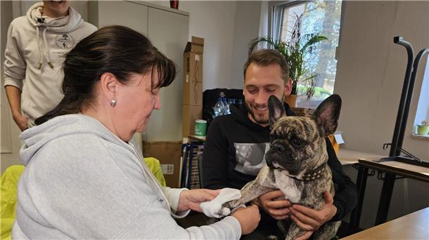 Herz-Druck-Massage beim Hund will gelernt sein An der französischen Bulldogge „Buddy“ übt eine Kursteilnehmerin das Verbinden einer Pfote.