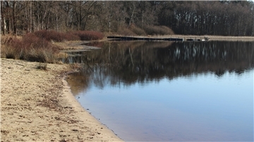 Ostseite des Silbersees in Wehdel nach der Schilfmahd