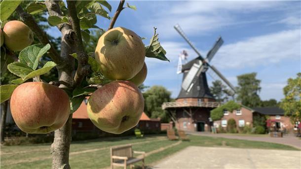 An der Seefelder Mühle geht es am Sonntag rund.