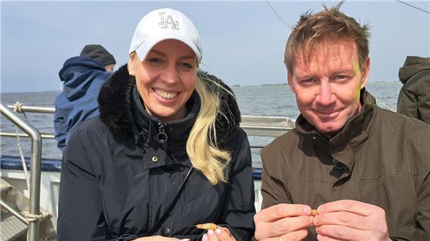 Kutter „Claudia“: Die besten Fotos von der Fangfahrt für den Krabbentag Andrea Heinrich aus Brandenburg und Lars Haße aus Schottwarden pulen gemeinsam Krabben bei einer dreistündigen Showfahrt.