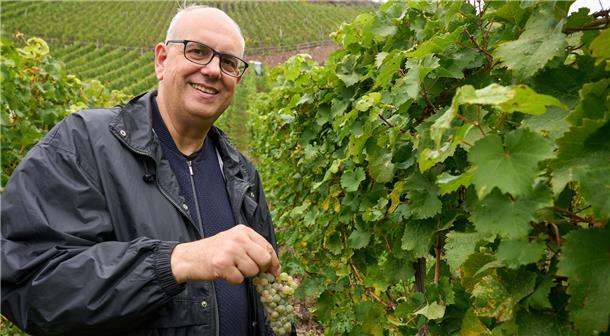 Andreas Bovenschulte, Bürgermeister von Bremen, half am Wochenende bei der Bremer Senatswein-Lese an der Mosel. Im Bremer Weinberg "Erdener Treppchen" werden jetzt die Trauben des Jahrgangs 2022 des Senatsweines gelesen.