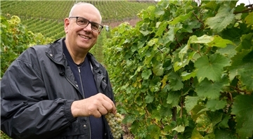 Andreas Bovenschulte, Bürgermeister von Bremen, half am Wochenende bei der Bremer Senatswein-Lese an der Mosel. Im Bremer Weinberg "Erdener Treppchen" werden jetzt die Trauben des Jahrgangs 2022 des Senatsweines gelesen.