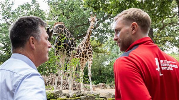 Giraffen-Ehrenpatenschaft für Per Mertesacker Andreas Casdorff (l), Geschäftsführer vom Erlebnis-Zoo Hannover, und Per Mertesacker, ehemaliger Fußballnationalspieler, stehen am Rand eines Geheges mit Rothschild-Giraffen.