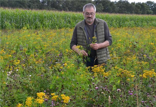 Andreas Rugen steht in einer Wildblumenwiese. Er experimentiert damit, um vom Mais loszukommen. Seit vier Jahren sammelt der Breddorfer Biogasanlagenbetreiber Erfahrungen mit den mehrjährigen Pflanzen.