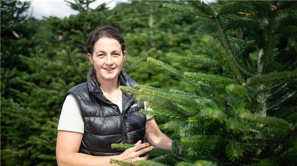 Weihnachtsbäume im Norden in gutem Zustand Angela Oelkers-Sötje kontrolliert Weihnachtsbäume auf ihrer Plantage.