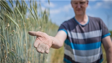Ein Mann lässt trockene Erde durch seine Finger rieseln.
