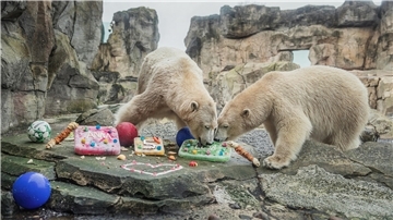 Anna (r.) und Elsa (l.) genießen ihre farbenfrohen Eistorten.