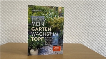 Buchcover.