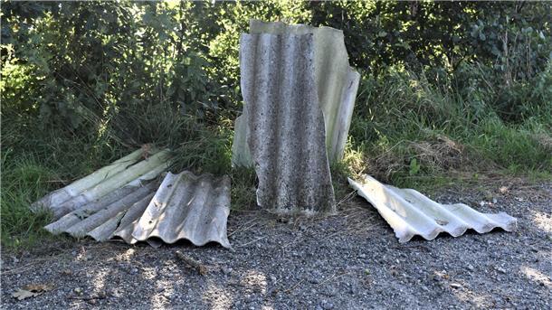 Asbestplatten im Außenbereich von Bad Bederkesa: Bis zur Entsorgung des illegal abgekippten Mülls ging Zeit ins Land. 
