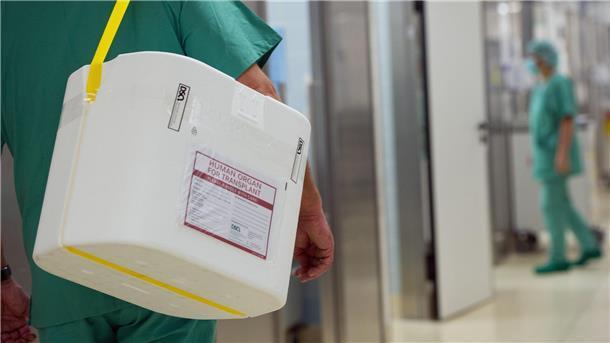 Organspende wird reformiert - Wie zu mehr Nieren? Auch anonyme Nierenspenden sollen künftig möglich sein. (Archivbild)