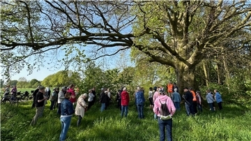 Auch bei der alten als Naturdenkmal ausgewiesenen Rotbuche in Klein Meckelsen legte die Radeltruppe einen Zwischenstopp ein.