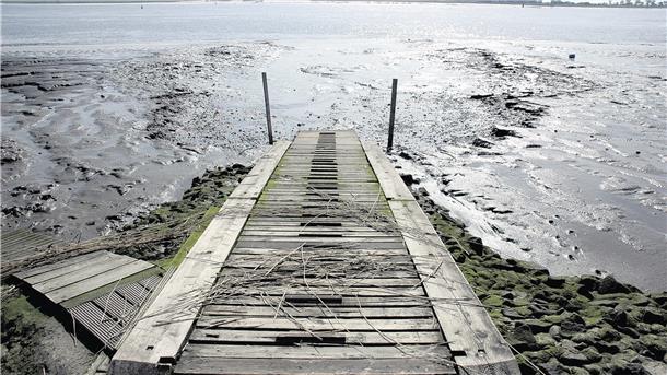 Auch das ist eine Folge des bisherigen Weserausbaus: Verschlickung am Nordenhamer Strand.