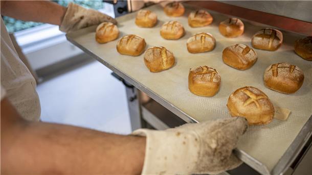 Handwerksbetriebe stellen noch motivierte Azubis ein Auch dem Bäckerhandwerk in Deutschland fehlen zunehmend die Nachwuchskräfte.