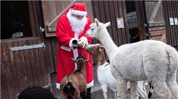 Weihnachtsmann vor Ställen verteilt Leckereien an Zootiere