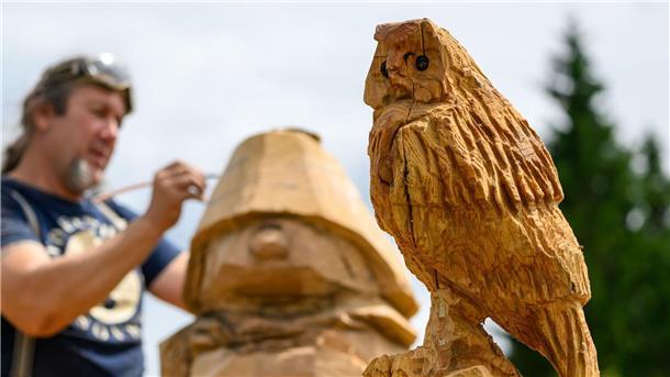 Mit der Kettensäge schnitzen Auch diese Eule soll an den grenzüberschreitenden Wanderwegen aufgestellt werden.