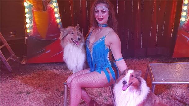 Auch eine Hundeshow ist in Zeven zu sehen.