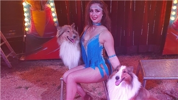 Auch eine Hundeshow ist in Zeven zu sehen.